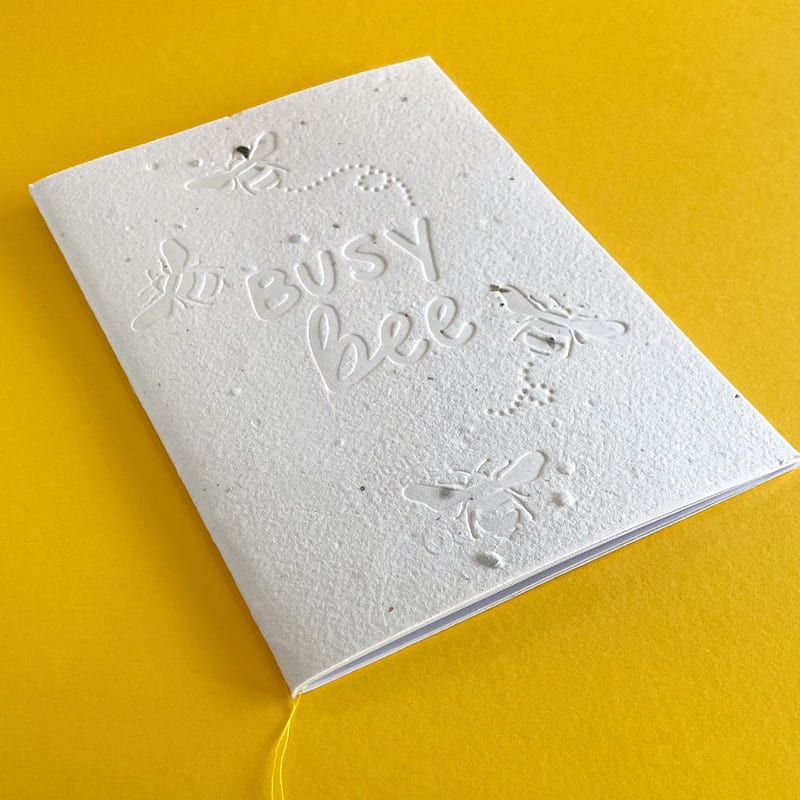 Eco-Friendly White Seed Book